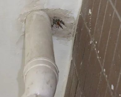 鹤壁漏水检测哪家好